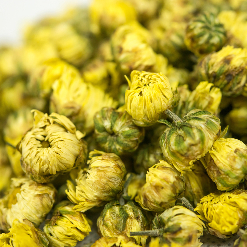 精品胎菊